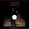 Talking to Turtles - Passenger Seat - Single