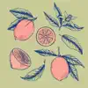 No Violet - Lemons - Single