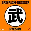 AyeSam - Saiyajin Krieger