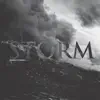 Enduser - Storm - Single