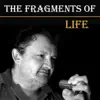 Nebojsa Nikolic - The Fragments of Life