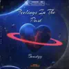 Beastyy - Feelings In the Past - Single