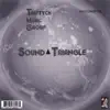 Triptych Music Group - Sound Triangle