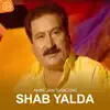 Amir Jan Saboori - Shab Yalda - Single