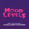 The Bulk Dump Studio Band - Mood Levels (Robert Silvera Presents The Bulk Dump Studio Band)