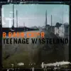 B Bang Cider - Teenage Wasteland