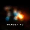 Hope & Future - Wandering - Single