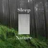 Fall Asleep Noble Music - 睡前放鬆 自然助眠 白噪音 放鬆音樂大全