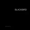 Geoff Castellucci - Blackbird - Single