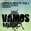 Various Artists - Jungle Beats, Vol. 1