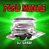 DJ Sandy - Puro Module - Single