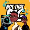 Hometeam & Germstar - Not That Big (feat. prince ledeke & antigravity!) - Single