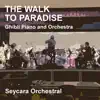 Seycara Orchestral - The Walk to Paradise (Ghibli Piano and Orchestra Version) - Single