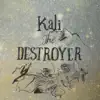 Damian Robison - Kali the Destroyer - EP