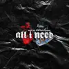 BLAKE FADES & Don Jr. - All I Need - Single