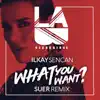 Ilkay Sencan & SUER - What You Want (SUER Remix) - Single