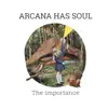 Arcana Has Soul - The Importance