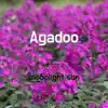 moonlight sun - Agadoo - Single