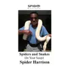 Spider Harrison & DJ Spider Harrison - Spiders & Snakes (In Your Soup) - Single