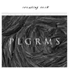 PLGRMS - Crawling Back - Single