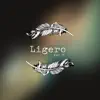 Kau C - Ligero - Single