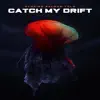 Stories Seldom Told - Catch My Drift - Single