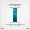 Royal Sapien - Tranquility I - An Atmospheric Ambient Meditation Mix (DJ Mix)