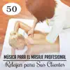 Masaje Relajante Masters - 50 Música para el Masaje Profesional - Relajar para Sus Clientes, una Mejor Experiencia, Sensación Más Sana