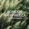 SoundSensations - Sonidos Naturaleza - Single