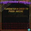 Turquesa - Profissão Perigo (feat. Caio TR) - Single