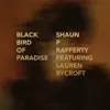 Shaun P Rafferty & Lauren Rycroft - Black Bird of Paradise - Single