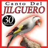 Sonido y Cantos de Pajaros - Canto Del Jilguero Cardelia Canto De Pájaros Silvestrismo - EP