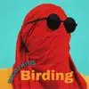 Tugay Kitiş - Birding - Single