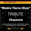 Brava HitMakers - Madre Tierra (Oye) - Tribute to Chayanne - EP