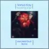 Sonya Kay - Ти мій всесвіт (#MONKEYStuff Remix) - Single