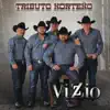 Vizzio - Tributo Norteño