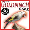 Sonido y Cantos de Pajaros - The Goldfinch Song Birds Sounds - EP