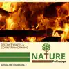 Various Artists - Distant Waves & Country Morning - Natural Fire Sounds, Vol. 7