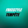 Gringo2F - Freestyle Tempête - Single