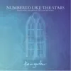 Kevin Gardner - Numbered Like the Stars