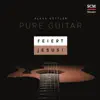 Feiert Jesus! - Pure Guitar (feat. Klaus Göttler)