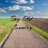 Anatoliy Konovalchuk - Big Old Country - Single