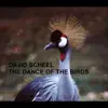 David Scheel - The Dance of the Birds