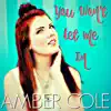 Amber Cole - You Won't Let Me In - Single