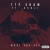 TTP Sham - What You See (feat. Kenji) - Single