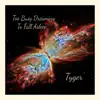 Tyger - Too Busy Dreaming to Fall Asleep