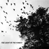 The Light In The Forest - The Light in the Forest - Single