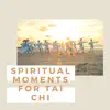 Tai Chi Music Institute - Spiritual Moments for Tai Chi - Relaxing New Age Music for Martial Arts