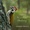 Andrew Skeoch - Indian Woodland Birdsong