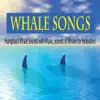 Robbins Island Music Group - Whale Songs: Humpback Whale Sounds With Music, Sounds of Whales for Relaxation